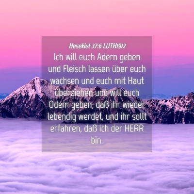 Picture 04 - Hesekiel 37:6 LUTH1912 - Ich will euch Adern geben und Fleisch lassen - Bible Verse Picture