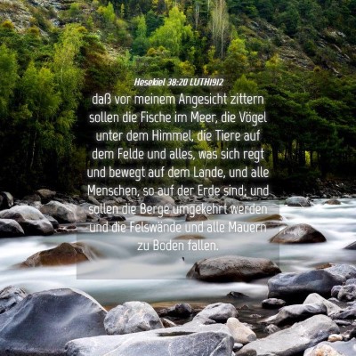 Picture 04 - Hesekiel 38:20 LUTH1912 - daß vor meinem Angesicht zittern sollen die - Bible Verse Picture