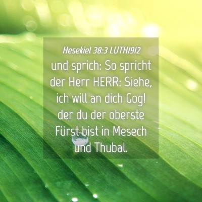 Picture 04 - Hesekiel 38:3 LUTH1912 - und sprich: So spricht der Herr HERR: Siehe, ich - Bible Verse Picture