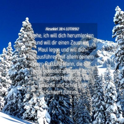 Picture 04 - Hesekiel 38:4 LUTH1912 - Siehe, ich will dich herumlenken und will dir - Bible Verse Picture