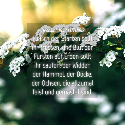 Picture 04 - Hesekiel 39:18 LUTH1912 - Fleisch der Starken sollt ihr fressen, und Blut - Bible Verse Picture