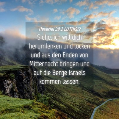 Picture 04 - Hesekiel 39:2 LUTH1912 - Siehe, ich will dich herumlenken und locken und - Bible Verse Picture