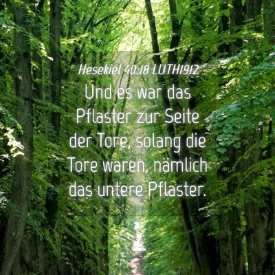 Picture 04 - Hesekiel 40:18 LUTH1912 - Und es war das Pflaster zur Seite der Tore, - Bible Verse Picture