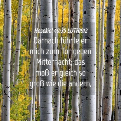 Picture 04 - Hesekiel 40:35 LUTH1912 - Darnach führte er mich zum Tor gegen - Bible Verse Picture