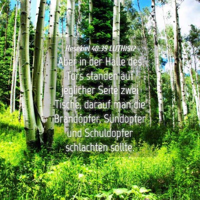 Picture 04 - Hesekiel 40:39 LUTH1912 - Aber in der Halle des Tors standen auf jeglicher - Bible Verse Picture