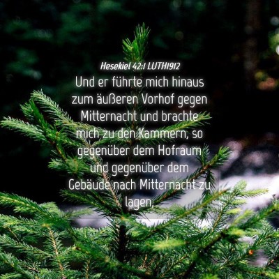Picture 04 - Hesekiel 42:1 LUTH1912 - Und er führte mich hinaus zum äußeren Vorhof - Bible Verse Picture
