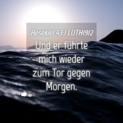 Picture 04 - Hesekiel 43:1 LUTH1912 - Und er führte mich wieder zum Tor gegen - Bible Verse Picture