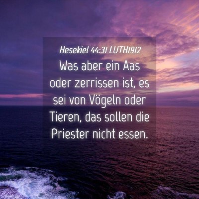 Picture 04 - Hesekiel 44:31 LUTH1912 - Was aber ein Aas oder zerrissen ist, es sei von - Bible Verse Picture