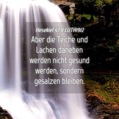 Picture 04 - Hesekiel 47:11 LUTH1912 - Aber die Teiche und Lachen daneben werden nicht - Bible Verse Picture