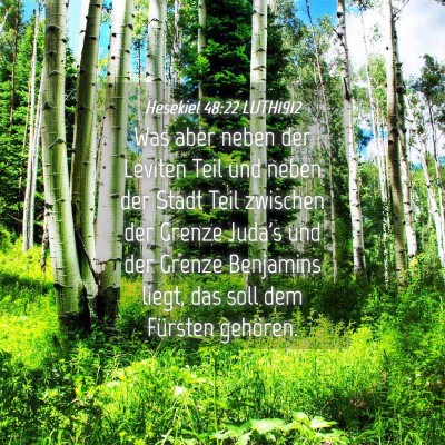 Picture 04 - Hesekiel 48:22 LUTH1912 - Was aber neben der Leviten Teil und neben der - Bible Verse Picture