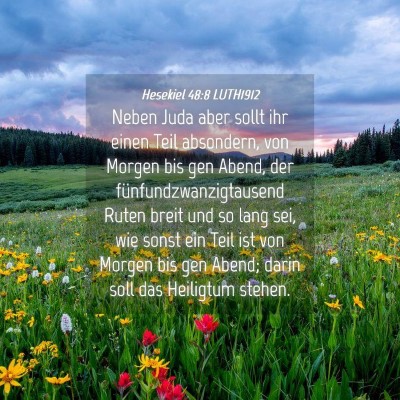 Picture 04 - Hesekiel 48:8 LUTH1912 - Neben Juda aber sollt ihr einen Teil absondern, - Bible Verse Picture