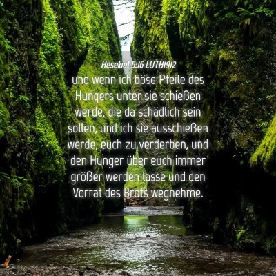 Picture 04 - Hesekiel 5:16 LUTH1912 - und wenn ich böse Pfeile des Hungers unter sie - Bible Verse Picture