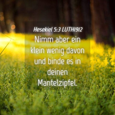 Picture 04 - Hesekiel 5:3 LUTH1912 - Nimm aber ein klein wenig davon und binde es in - Bible Verse Picture