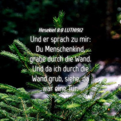 Picture 04 - Hesekiel 8:8 LUTH1912 - Und er sprach zu mir: Du Menschenkind, grabe - Bible Verse Picture
