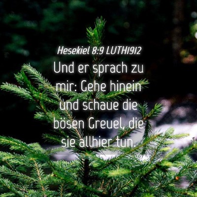 Picture 04 - Hesekiel 8:9 LUTH1912 - Und er sprach zu mir: Gehe hinein und schaue die - Bible Verse Picture