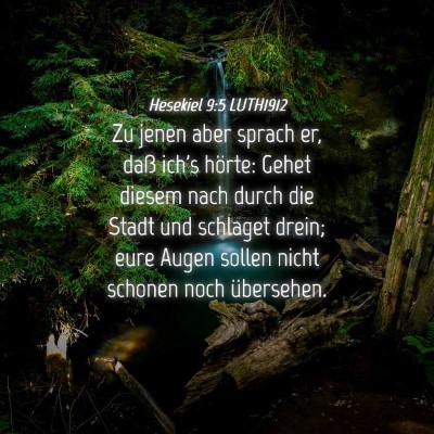 Picture 04 - Hesekiel 9:5 LUTH1912 - Zu jenen aber sprach er, daß ich's hörte: Gehet - Bible Verse Picture