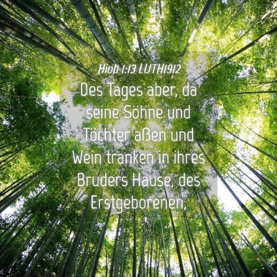 Picture 04 - Hiob 1:13 LUTH1912 - Des Tages aber, da seine Söhne und Töchter - Bible Verse Picture