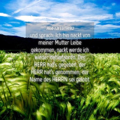 Picture 04 - Hiob 1:21 LUTH1912 - und sprach: Ich bin nackt von meiner Mutter Leibe - Bible Verse Picture
