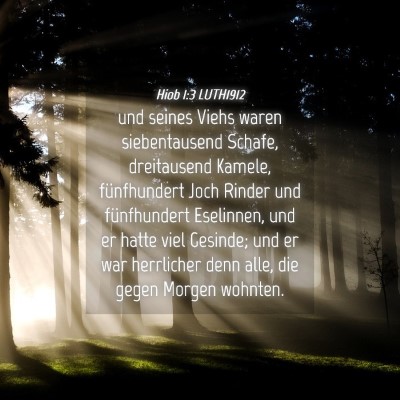 Picture 04 - Hiob 1:3 LUTH1912 - und seines Viehs waren siebentausend Schafe, - Bible Verse Picture