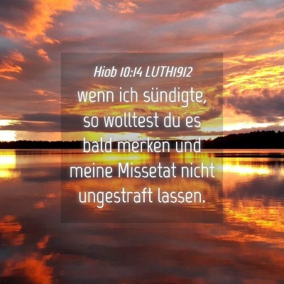 Picture 04 - Hiob 10:14 LUTH1912 - wenn ich sündigte, so wolltest du es bald merken - Bible Verse Picture