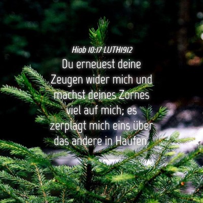 Picture 04 - Hiob 10:17 LUTH1912 - Du erneuest deine Zeugen wider mich und machst - Bible Verse Picture