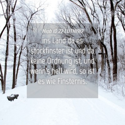 Picture 04 - Hiob 10:22 LUTH1912 - ins Land da es stockfinster ist und da keine - Bible Verse Picture