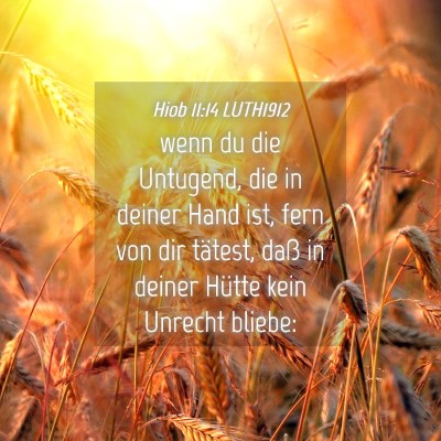 Picture 04 - Hiob 11:14 LUTH1912 - wenn du die Untugend, die in deiner Hand ist, - Bible Verse Picture
