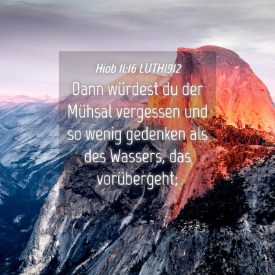 Picture 04 - Hiob 11:16 LUTH1912 - Dann würdest du der Mühsal vergessen und so - Bible Verse Picture