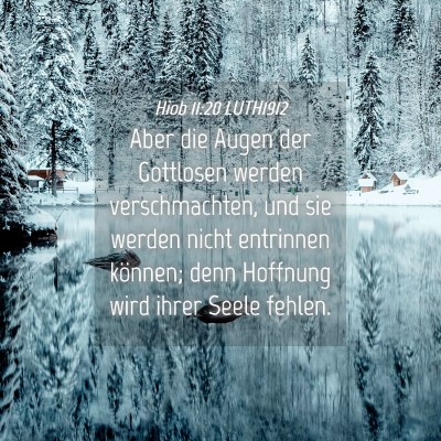Picture 04 - Hiob 11:20 LUTH1912 - Aber die Augen der Gottlosen werden - Bible Verse Picture