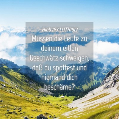 Picture 04 - Hiob 11:3 LUTH1912 - Müssen die Leute zu deinem eitlen Geschwätz - Bible Verse Picture