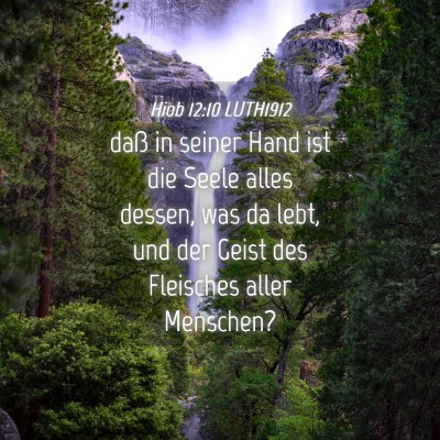 Picture 04 - Hiob 12:10 LUTH1912 - daß in seiner Hand ist die Seele alles dessen, - Bible Verse Picture
