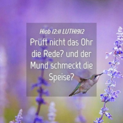 Picture 04 - Hiob 12:11 LUTH1912 - Prüft nicht das Ohr die Rede? und der Mund - Bible Verse Picture