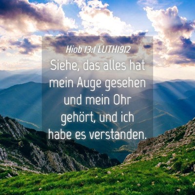 Picture 04 - Hiob 13:1 LUTH1912 - Siehe, das alles hat mein Auge gesehen und mein - Bible Verse Picture