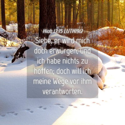 Picture 04 - Hiob 13:15 LUTH1912 - Siehe, er wird mich doch erwürgen, und ich habe - Bible Verse Picture
