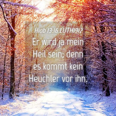Picture 04 - Hiob 13:16 LUTH1912 - Er wird ja mein Heil sein; denn es kommt kein - Bible Verse Picture