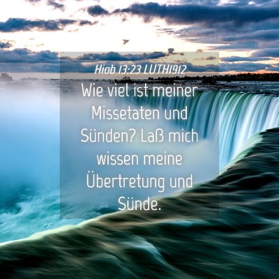 Picture 04 - Hiob 13:23 LUTH1912 - Wie viel ist meiner Missetaten und Sünden? Laß - Bible Verse Picture