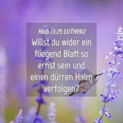 Picture 04 - Hiob 13:25 LUTH1912 - Willst du wider ein fliegend Blatt so ernst sein - Bible Verse Picture