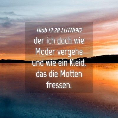 Picture 04 - Hiob 13:28 LUTH1912 - der ich doch wie Moder vergehe und wie ein Kleid, - Bible Verse Picture
