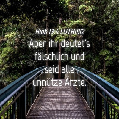Picture 04 - Hiob 13:4 LUTH1912 - Aber ihr deutet's fälschlich und seid alle - Bible Verse Picture