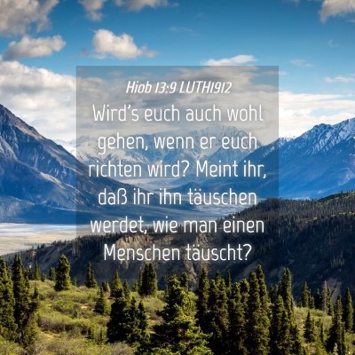 Picture 04 - Hiob 13:9 LUTH1912 - Wird's euch auch wohl gehen, wenn er euch richten - Bible Verse Picture