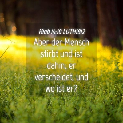 Picture 04 - Hiob 14:10 LUTH1912 - Aber der Mensch stirbt und ist dahin; er - Bible Verse Picture