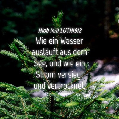 Picture 04 - Hiob 14:11 LUTH1912 - Wie ein Wasser ausläuft aus dem See, und wie ein - Bible Verse Picture