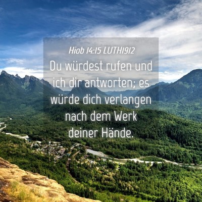 Picture 04 - Hiob 14:15 LUTH1912 - Du würdest rufen und ich dir antworten; es - Bible Verse Picture