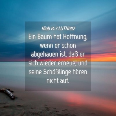 Picture 04 - Hiob 14:7 LUTH1912 - Ein Baum hat Hoffnung, wenn er schon abgehauen - Bible Verse Picture