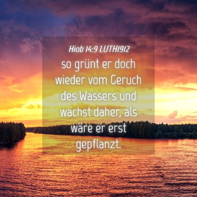 Picture 04 - Hiob 14:9 LUTH1912 - so grünt er doch wieder vom Geruch des Wassers - Bible Verse Picture