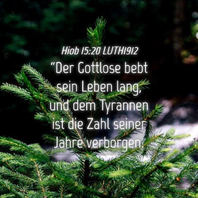 Picture 04 - Hiob 15:20 LUTH1912 - “Der Gottlose bebt sein Leben lang, und dem - Bible Verse Picture