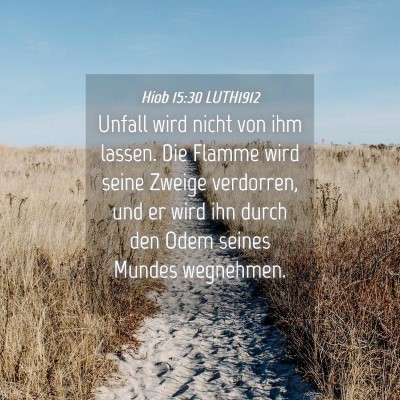 Picture 04 - Hiob 15:30 LUTH1912 - Unfall wird nicht von ihm lassen. Die Flamme wird - Bible Verse Picture