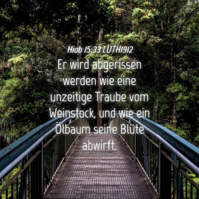 Picture 04 - Hiob 15:33 LUTH1912 - Er wird abgerissen werden wie eine unzeitige - Bible Verse Picture