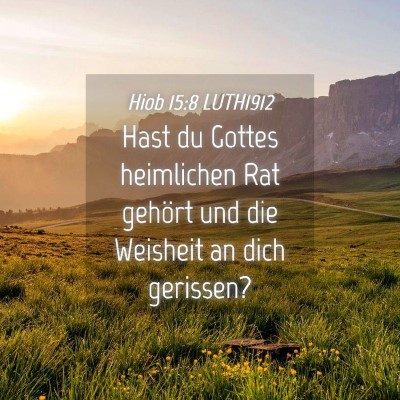 Picture 04 - Hiob 15:8 LUTH1912 - Hast du Gottes heimlichen Rat gehört und die - Bible Verse Picture