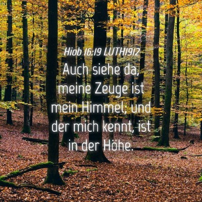 Picture 04 - Hiob 16:19 LUTH1912 - Auch siehe da, meine Zeuge ist mein Himmel; und - Bible Verse Picture